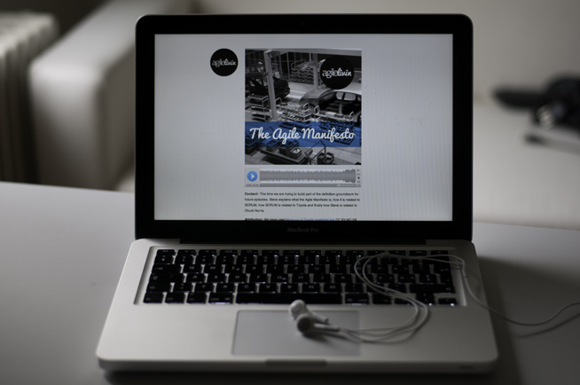 agilelivin theme picture